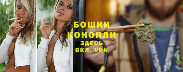 твердый Богородск