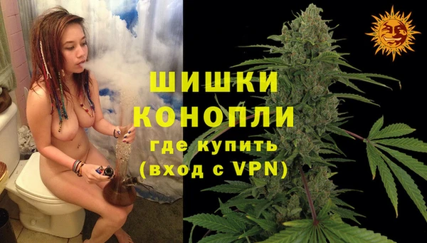 твердый Богородск