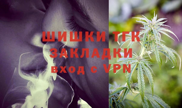 твердый Богородск