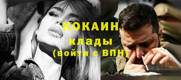 твердый Богородск